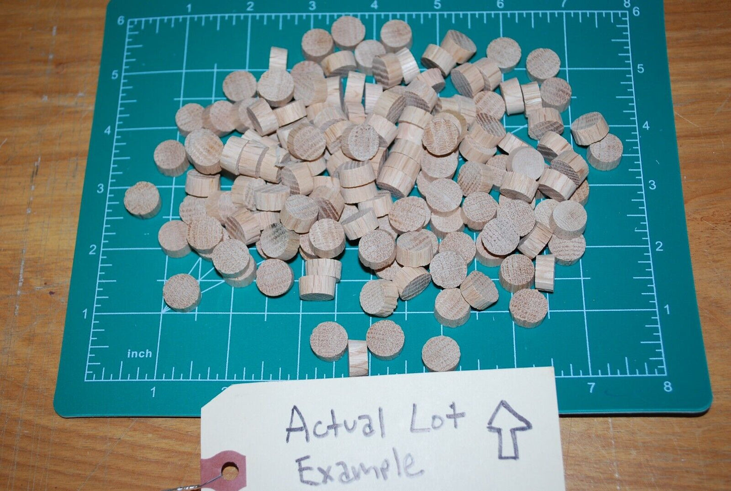 1/2" Flush Top Oak Wood Plugs 150pc Packs - PL06