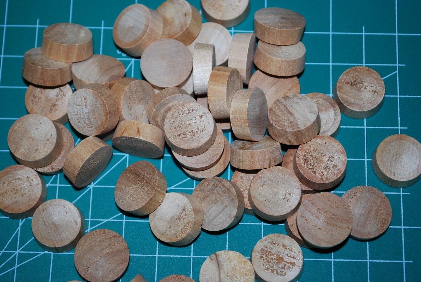 3/4" Flush Top Birch Wood Plugs 50pc Packs - PL09