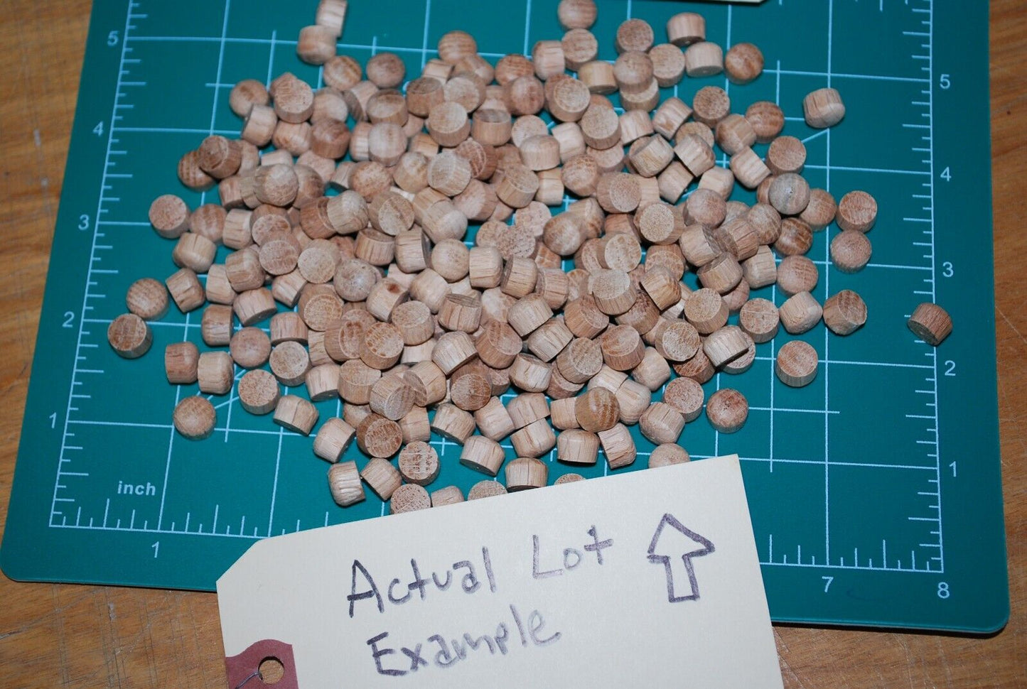 3/8" Oval Top Oak Wood Plugs 250pc Packs - PL01