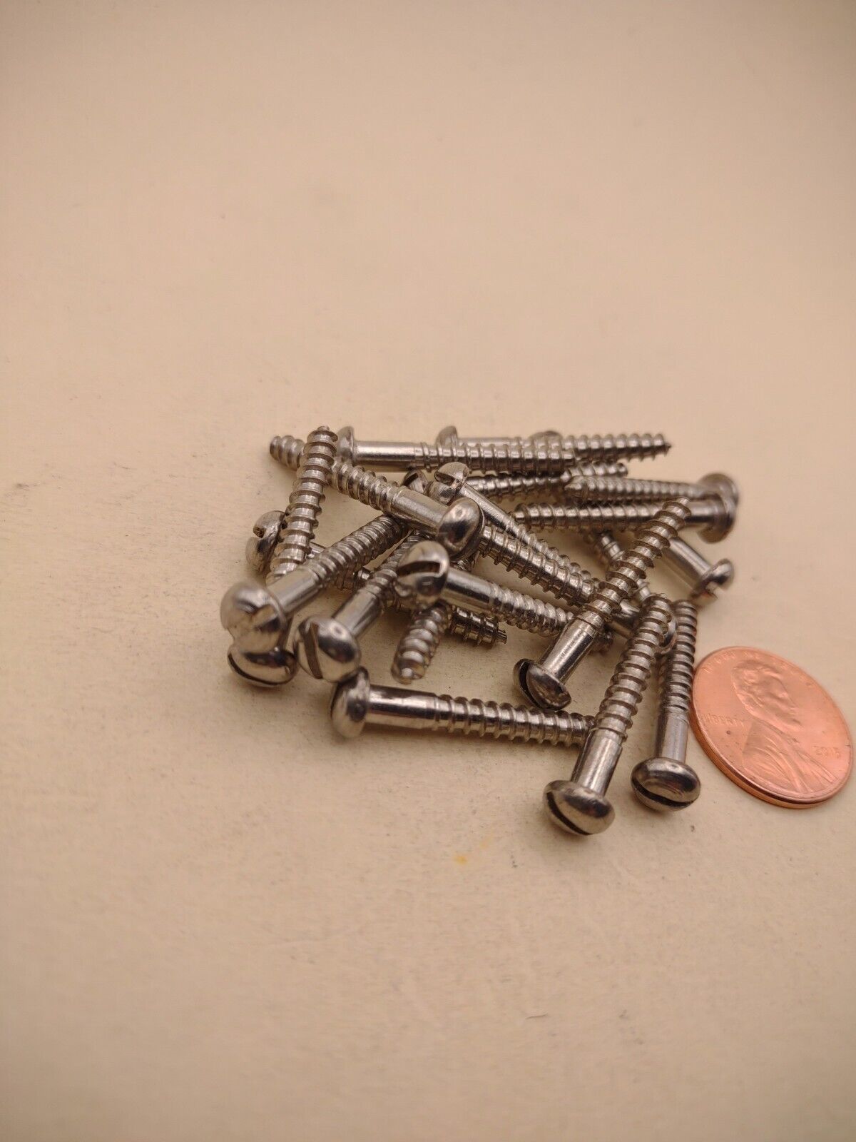 #6 x 1" 18-8 Stainless Round Head Slotted Marine Wood Screws (20) pack SSWS30