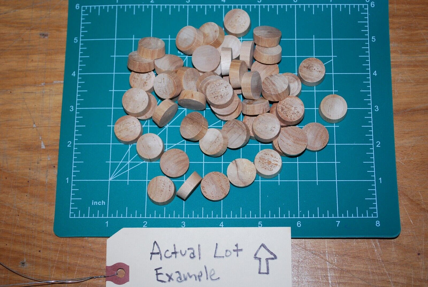 3/4" Flush Top Birch Wood Plugs 50pc Packs - PL09