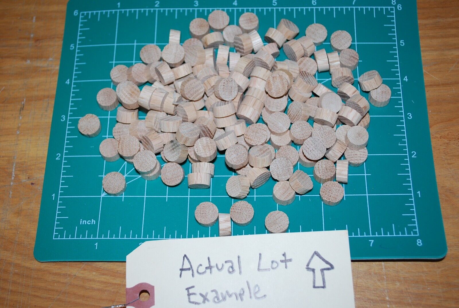 1/2" Flush Top Oak Wood Plugs 150pc Packs - PL06