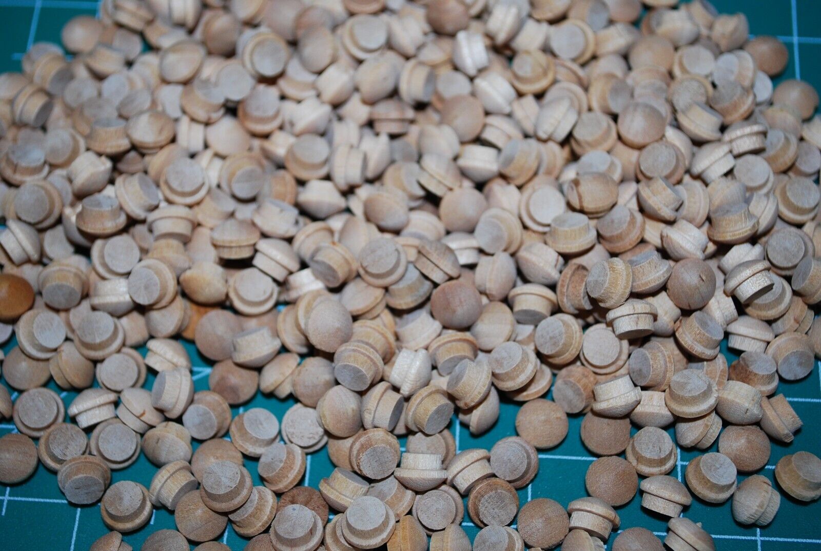 1/4" Mushroom Top Birch Wood Plugs 500pc Packs - PL20