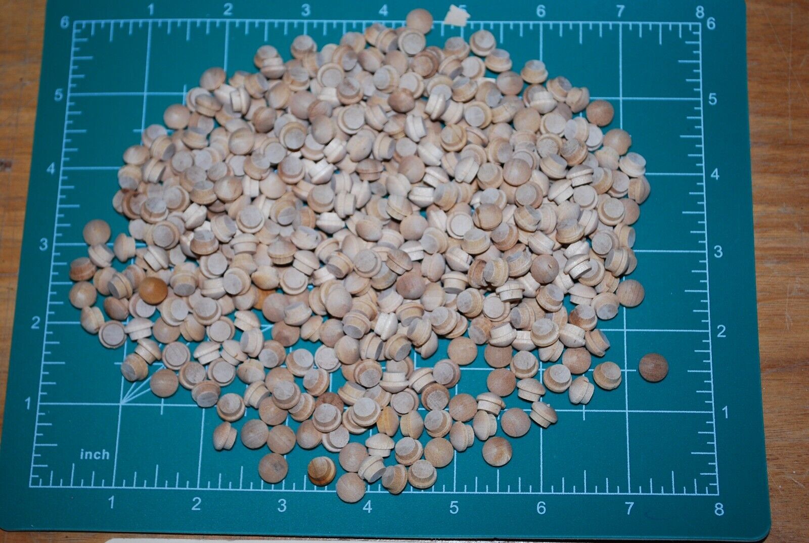 1/4" Mushroom Top Birch Wood Plugs 500pc Packs - PL20