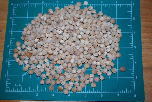 1/4" Mushroom Top Birch Wood Plugs 500pc Packs - PL20