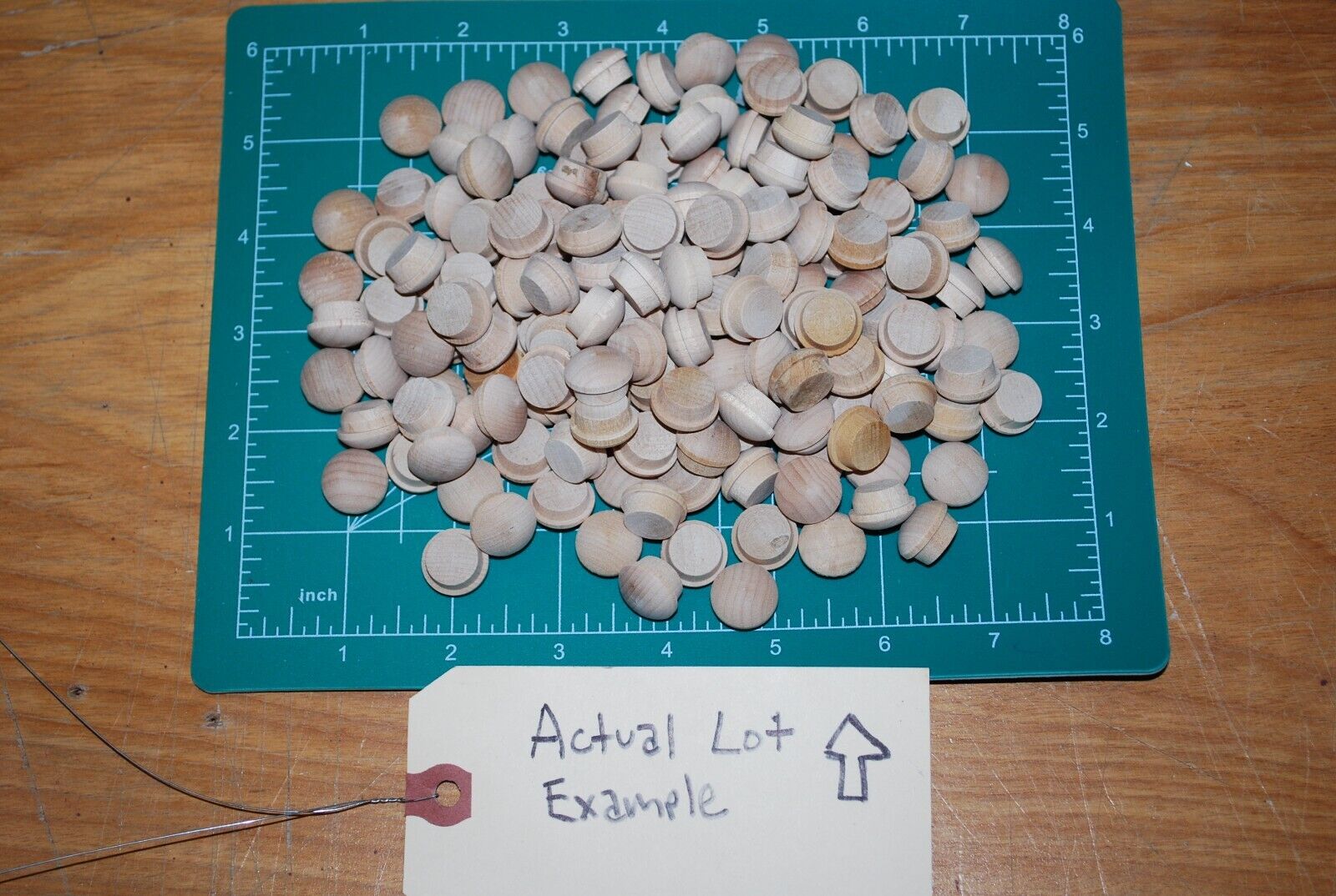 1/2" Mushroom Top Birch Wood Plugs 150pc Packs - PL15